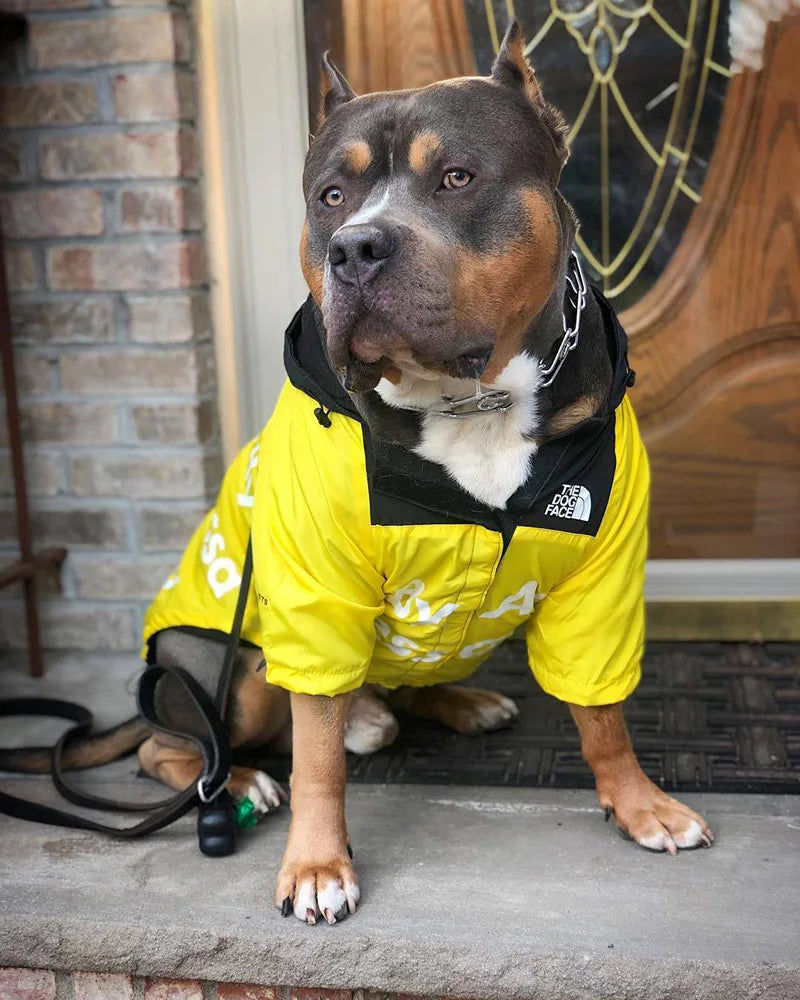 Raincoat For Dogs - lakescouleeoutdoors