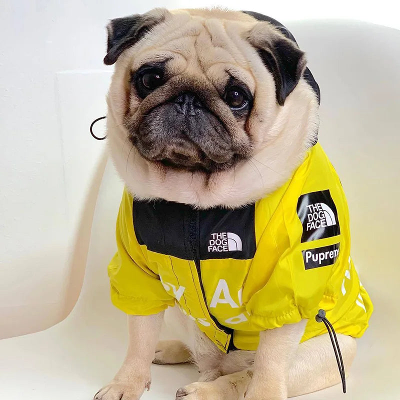 Raincoat For Dogs - lakescouleeoutdoors