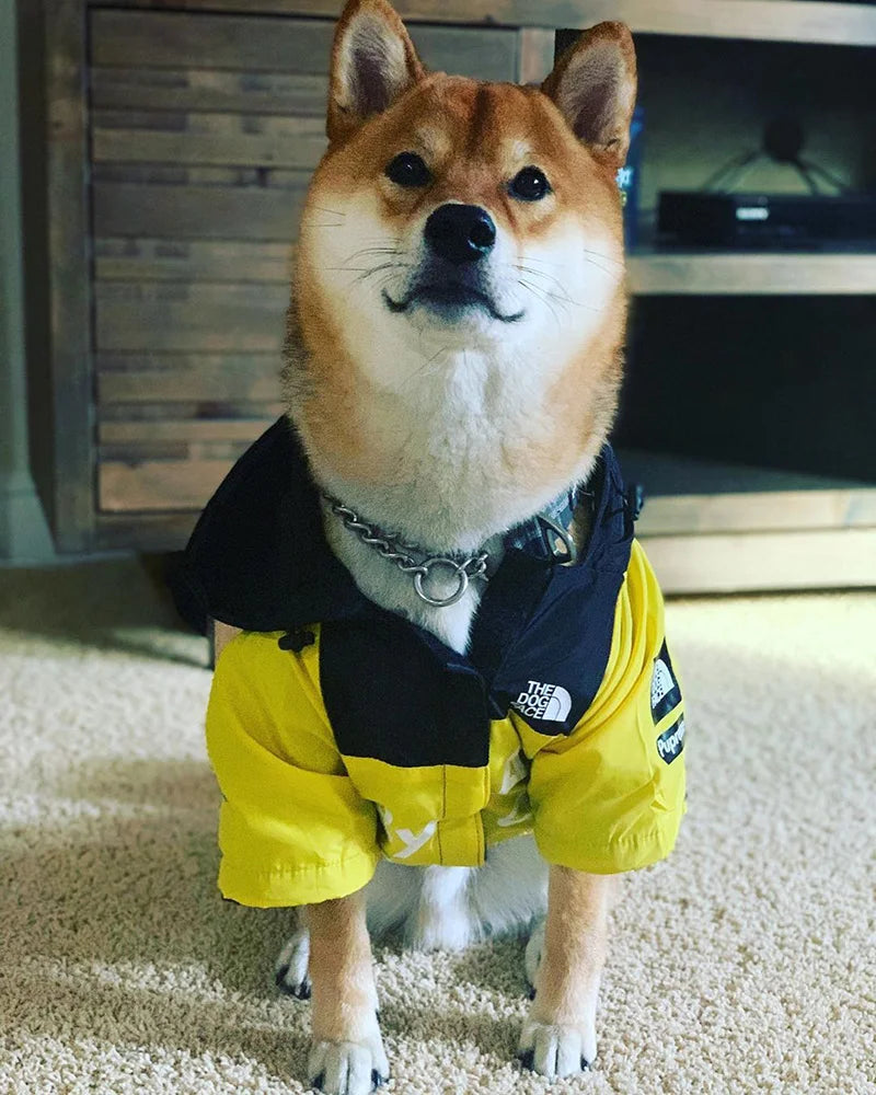 Raincoat For Dogs - lakescouleeoutdoors