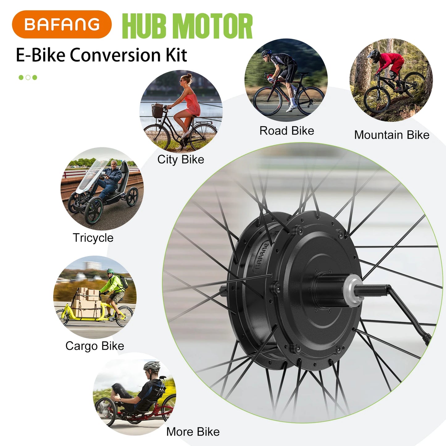 Electric Bike Conversion Kit