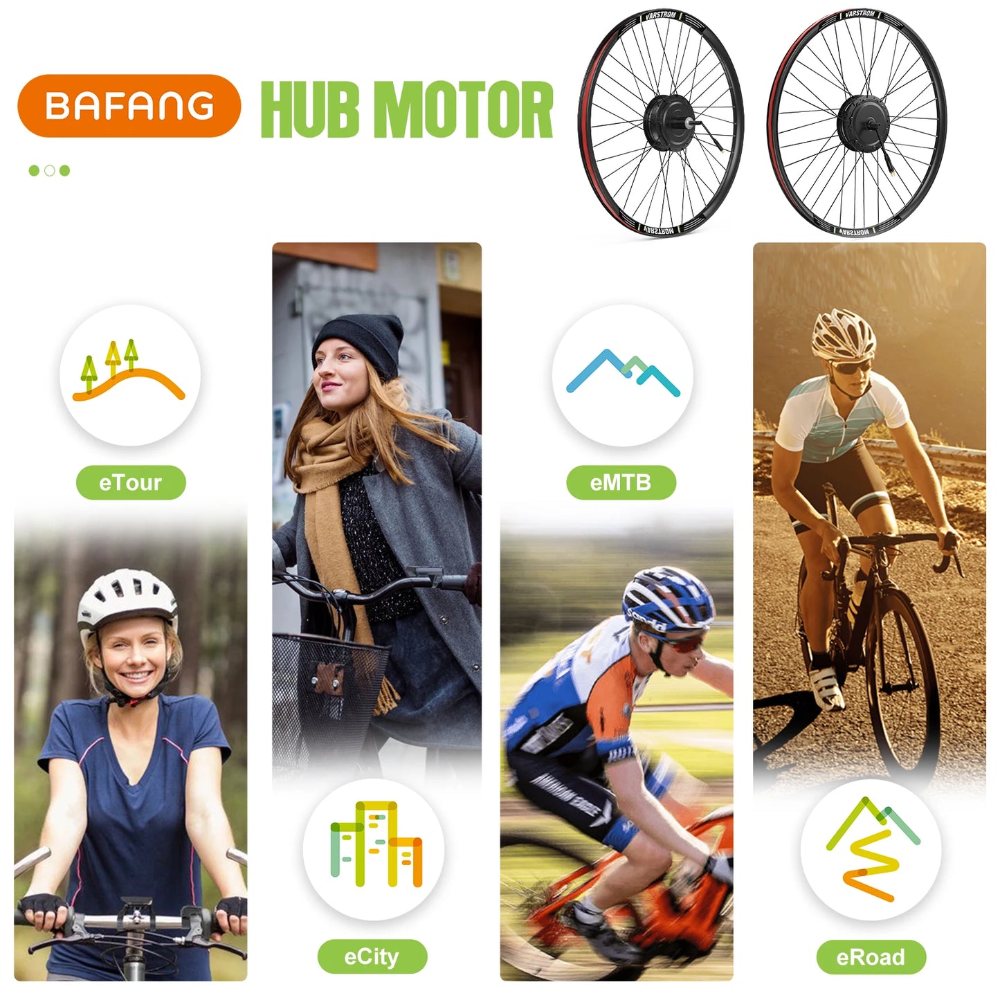 Electric Bike Conversion Kit