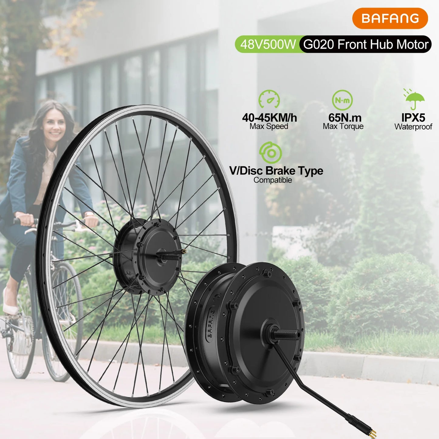Electric Bike Conversion Kit