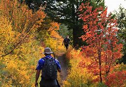 Finding the Perfect Primitive Campsite in the Mountains: A Guide to Outdoor Bliss