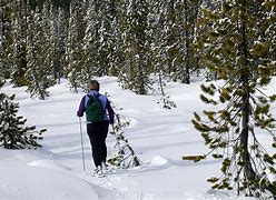 Navigating the Snowy Trails: A Guide to Purchasing the Perfect Pair of Snowshoes