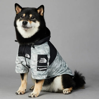 Raincoat For Dogs