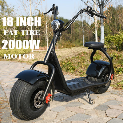 Electric  2 Wheel Scooter