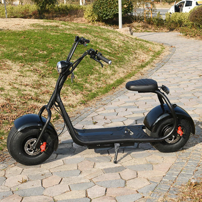 Electric  2 Wheel Scooter