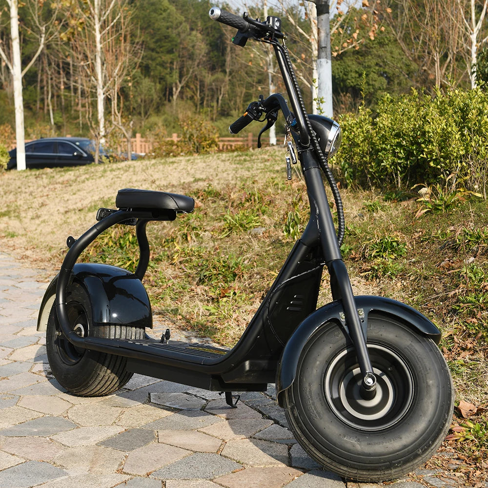 Electric  2 Wheel Scooter